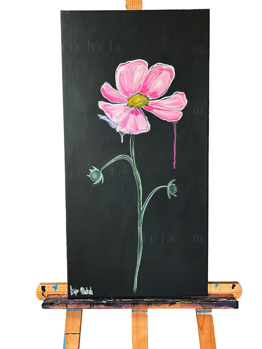 Pink Cosmos